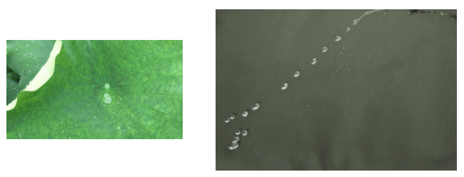 熊猫体育医用纺织