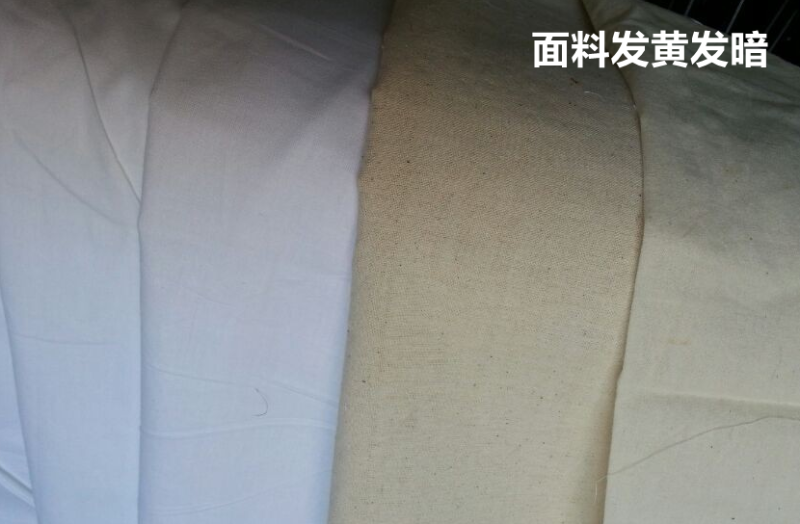 熊猫体育医防医用面料