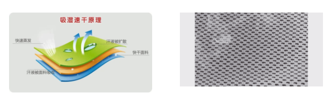 熊猫体育医用纺织