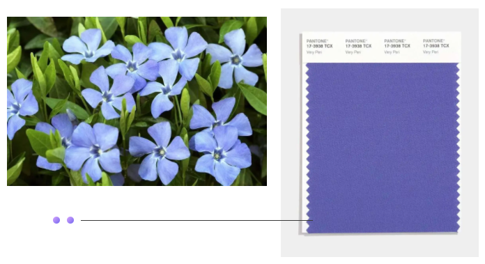 熊猫体育纺织面料